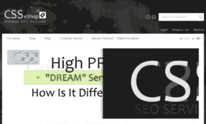 Chicagoseoservices.org thumbnail