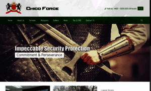 Chicoforcesecurity.com thumbnail