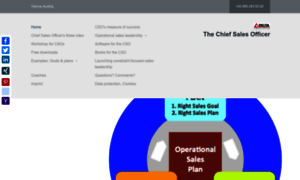 Chief-sales-officer-english.ch thumbnail