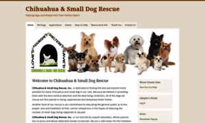 Chihuahua-smalldogrescue.org thumbnail