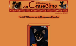 Chihuahua-von-crasselino.de thumbnail