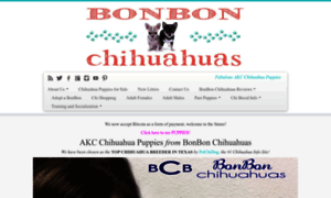 Chihuahuapuppiesakc.com thumbnail