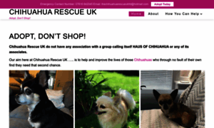 Chihuahuarescue.co.uk thumbnail