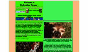 Chihuahuarescue.com thumbnail