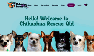 Chihuahuarescueqld.com.au thumbnail