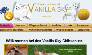 Chihuahuas-from-vanilla-sky.de thumbnail