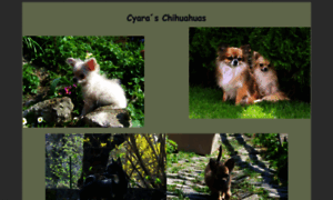 Chihuahuas.de thumbnail