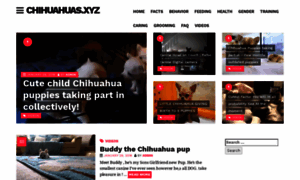 Chihuahuastoday.com thumbnail