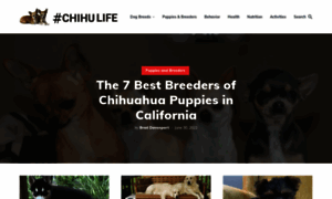 Chihulife.com thumbnail