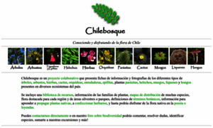 Chilebosque.cl thumbnail