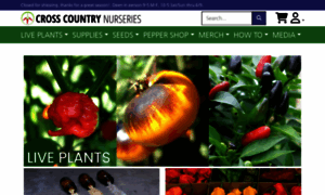 Chileplants.com thumbnail