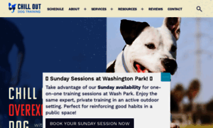 Chilloutdogtraining.com thumbnail