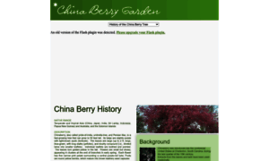 Chinaberrygarden.com thumbnail
