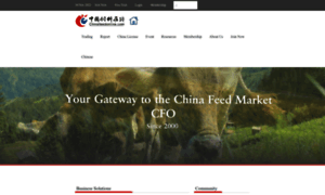 Chinafeedonline.com.hk thumbnail