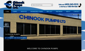 Chinookpumps.com thumbnail