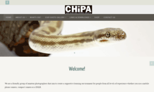 Chipa.org.au thumbnail