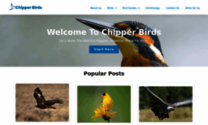 Chipperbirds.com thumbnail