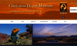 Chiricahuadesertmuseum.com thumbnail