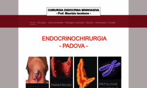 Chirurgia-endocrina.it thumbnail