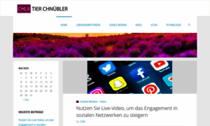 Chliitierchnuebler.ch thumbnail