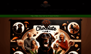 Chocolatelabdenver.com thumbnail