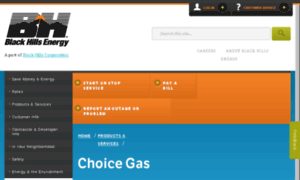 Choicegas.sourcegas.com thumbnail