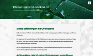 Cholesterinwert-senken.de thumbnail