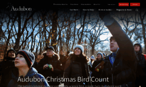 Christmasbirdcount.org thumbnail