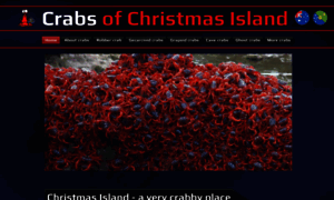 Christmasislandcrabs.com thumbnail