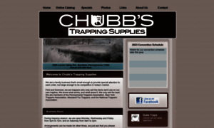 Chubbstrappingsupplies.com thumbnail