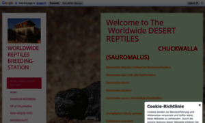 Chuckwalla-reptiles-tirol.at thumbnail