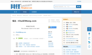 Chuiziwang.com thumbnail