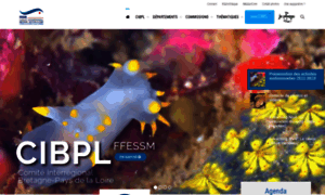 Cibpl.fr thumbnail