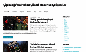 Cicekdagi-haberler.com.tr thumbnail