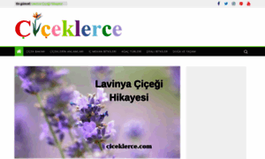 Ciceklerce.com thumbnail