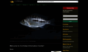 Cichlidae.com thumbnail