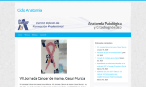 Cicloanatomia.com thumbnail