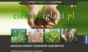 Ciekaweiglaki.pl thumbnail