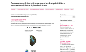 Cil-ibsc.fr thumbnail