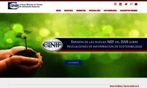 Cinif.org.mx thumbnail