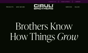 Cirulibrothers.com thumbnail