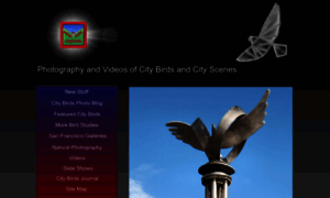 Citybirds.com thumbnail