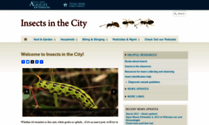 Citybugs.tamu.edu thumbnail