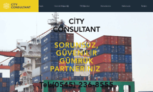 Cityconsultant.istanbul thumbnail