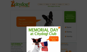Citydogclub.com thumbnail