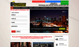 Cityexpresspestcontrol.com thumbnail
