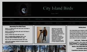 Cityislandbirds.com thumbnail