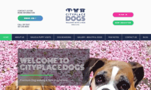 Cityplacedogs.com thumbnail