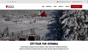 Citytourforistanbul.com thumbnail