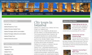 Citytoursinistanbul.com thumbnail